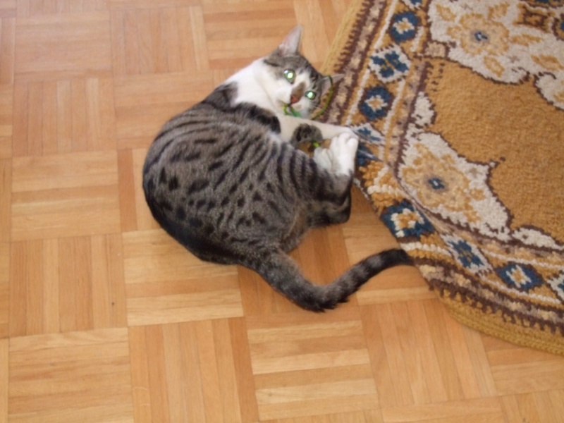 Ostern 2007 Orleshausen 128 